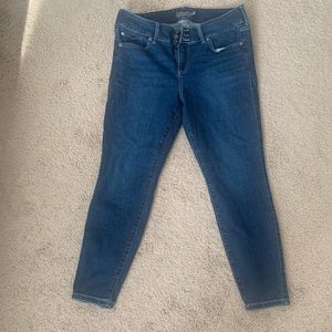 Brand New, Torrid Jeans, size 14
